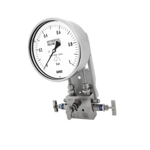 Đồng hồ áp suất Wise Model  P620