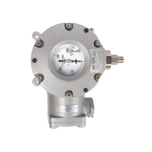 Đồng hồ áp suất WISE P990