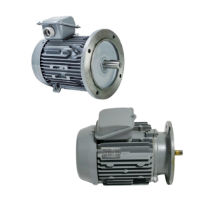 VTFO-K-FF165-80M-1-2P - Motor Hitachi 3 pha loại tiêu chuẩn (IE1)