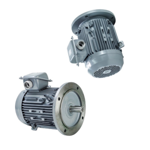 VTFO-KK-FF300-160M-15-2P - Motor Hitachi 3 pha loại tiêu chuẩn (IE1)