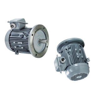 VTFO-KK-FF300-160M-15-4P - Motor Hitachi 3 pha loại tiêu chuẩn (IE1)