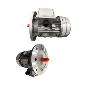 VTFO-KK-FF350-180L-30-6P - Motor Hitachi 3 pha loại tiêu chuẩn (IE1)
