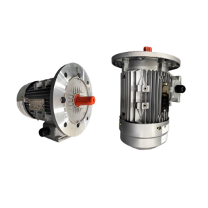 VTFO-KK-FF350-180L-40-2P - Motor Hitachi 3 pha loại tiêu chuẩn (IE1)